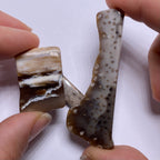 Petrified Wood – Bagan, Burma