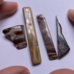 Petrified Wood – Bagan, Burma