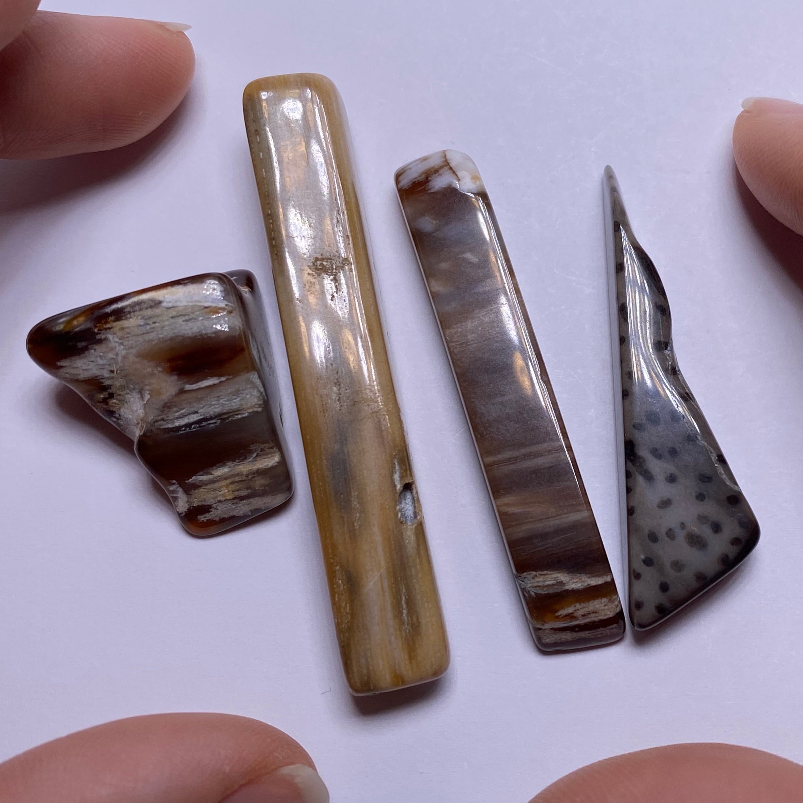 Petrified Wood – Bagan, Burma