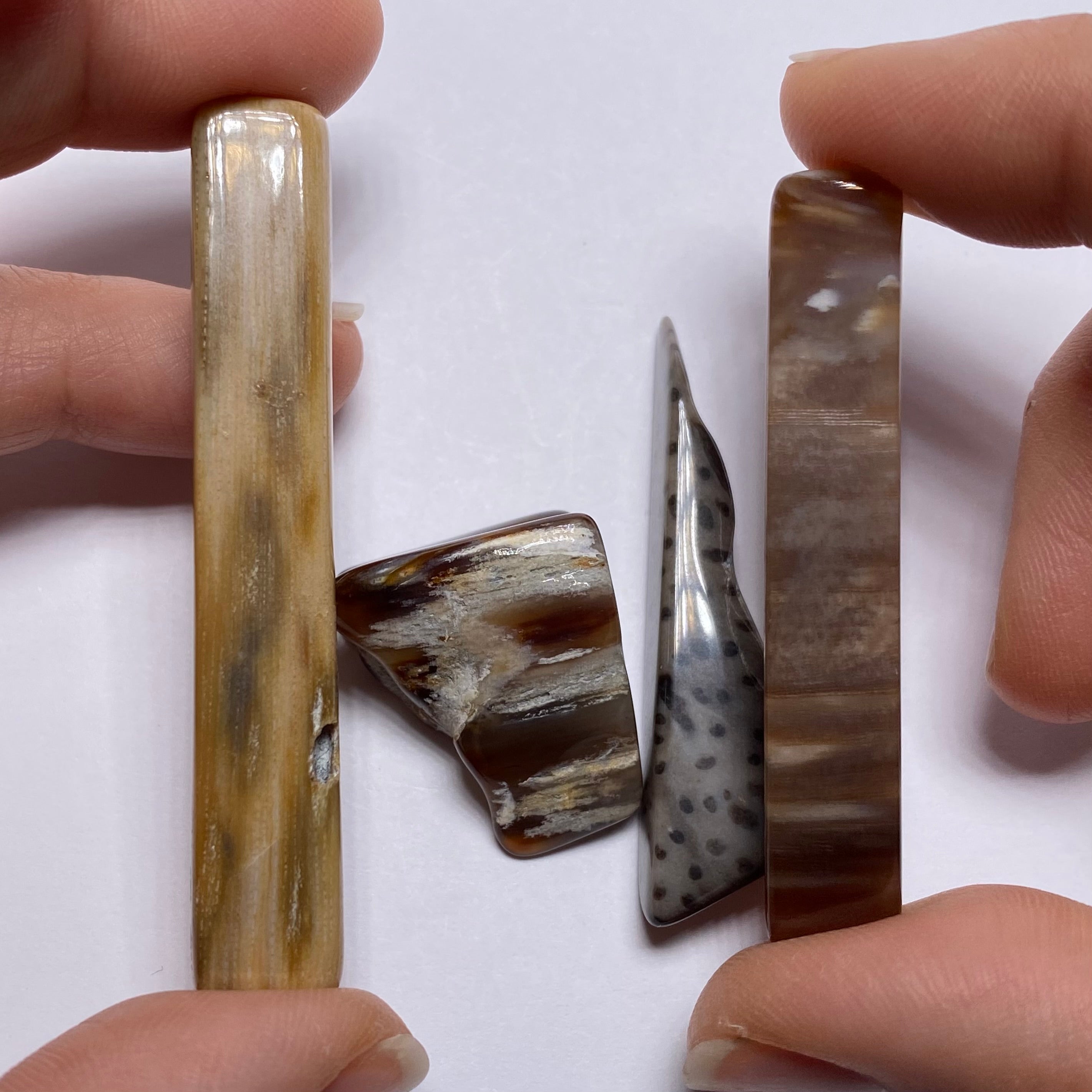 Petrified Wood – Bagan, Burma