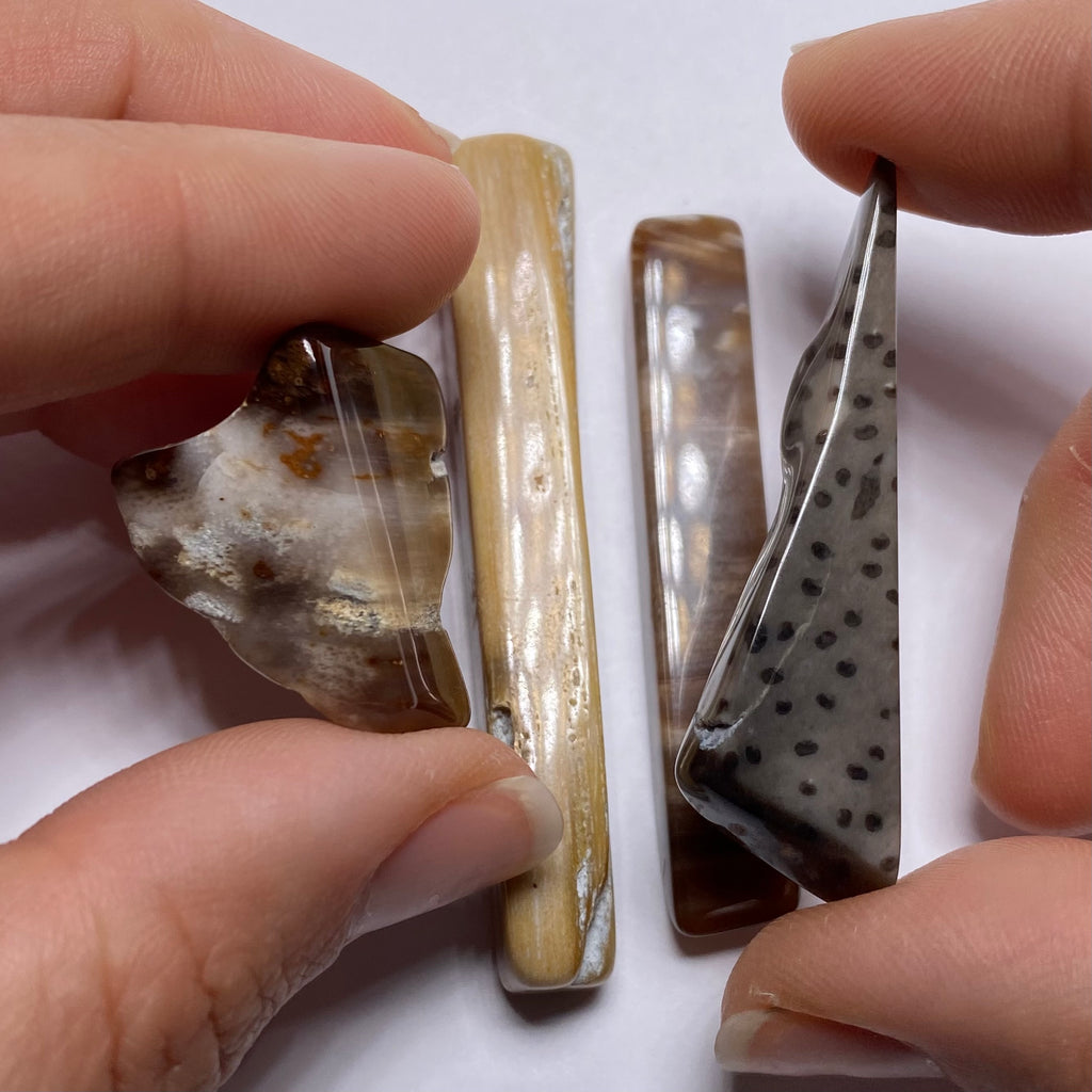 Petrified Wood – Bagan, Burma