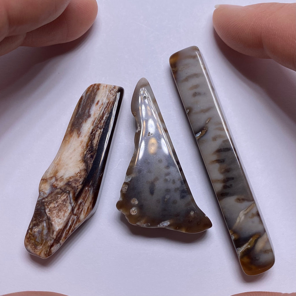 Petrified Wood – Bagan, Burma