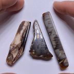 Petrified Wood – Bagan, Burma