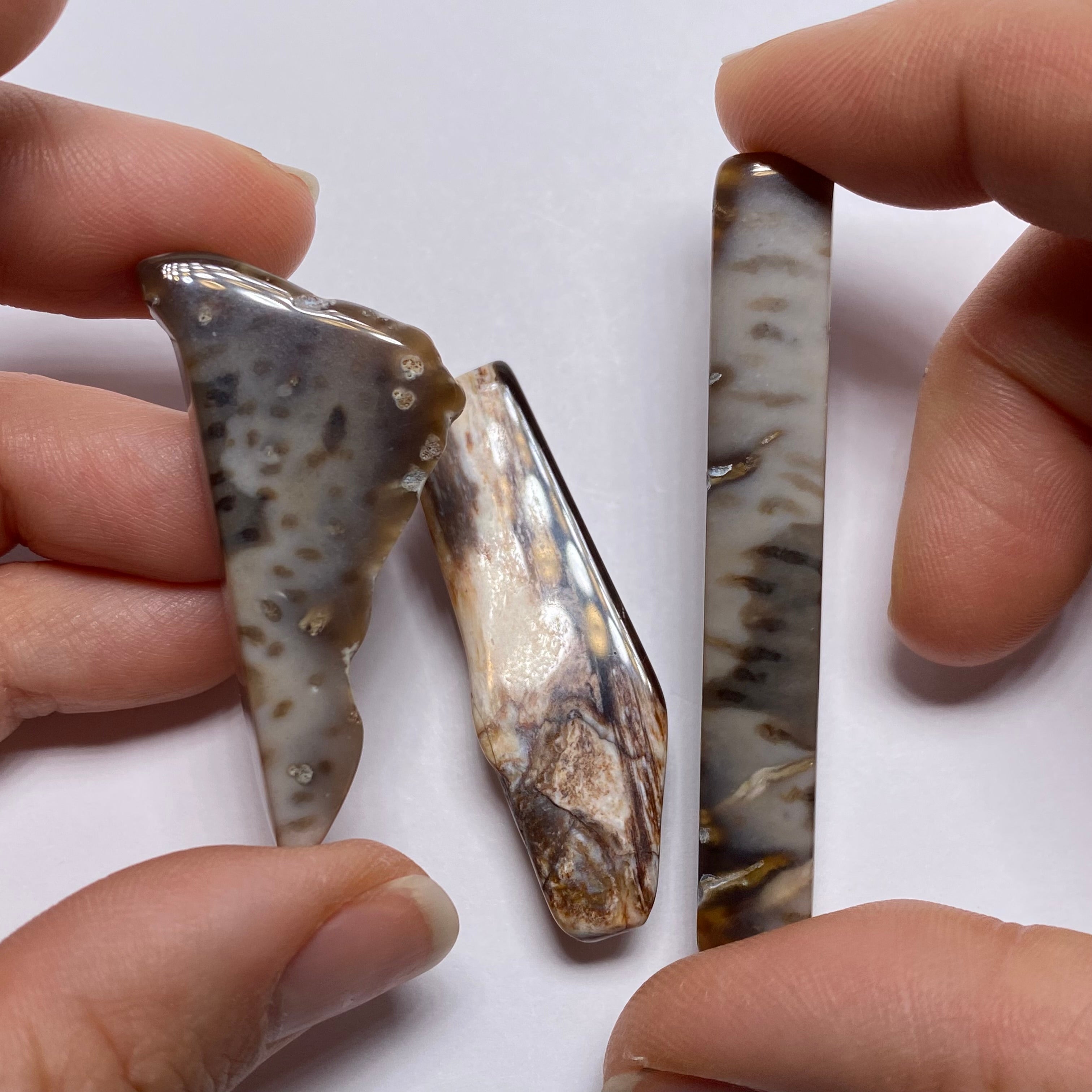 Petrified Wood – Bagan, Burma