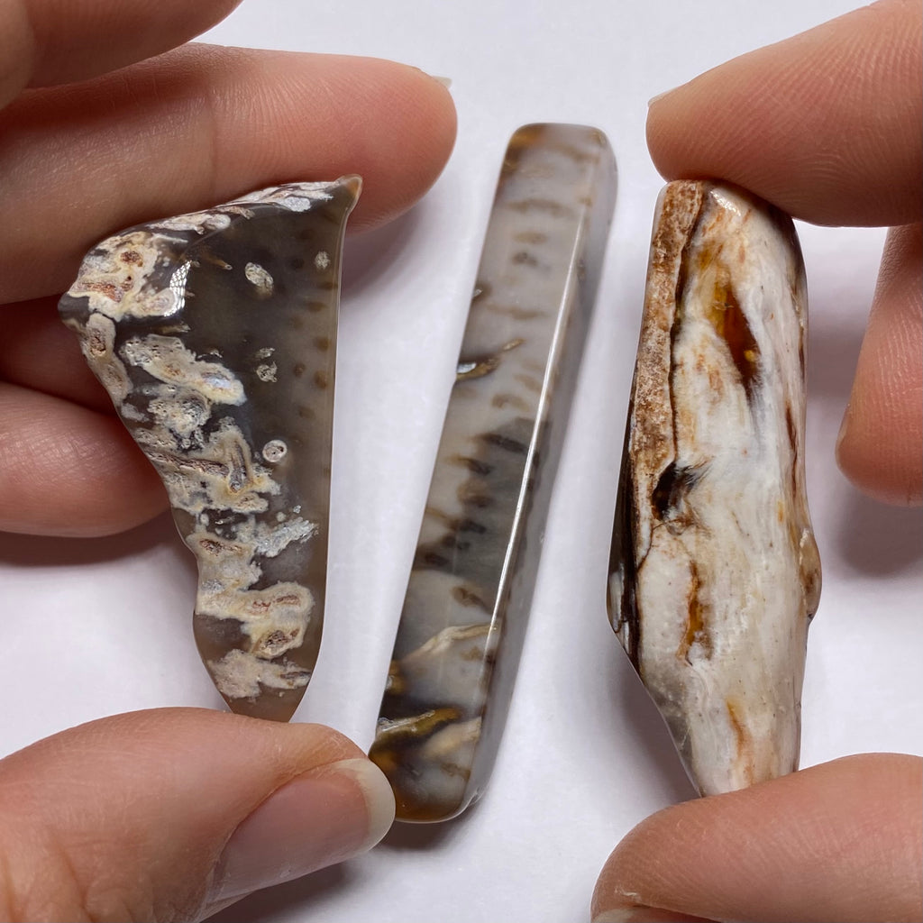 Petrified Wood – Bagan, Burma