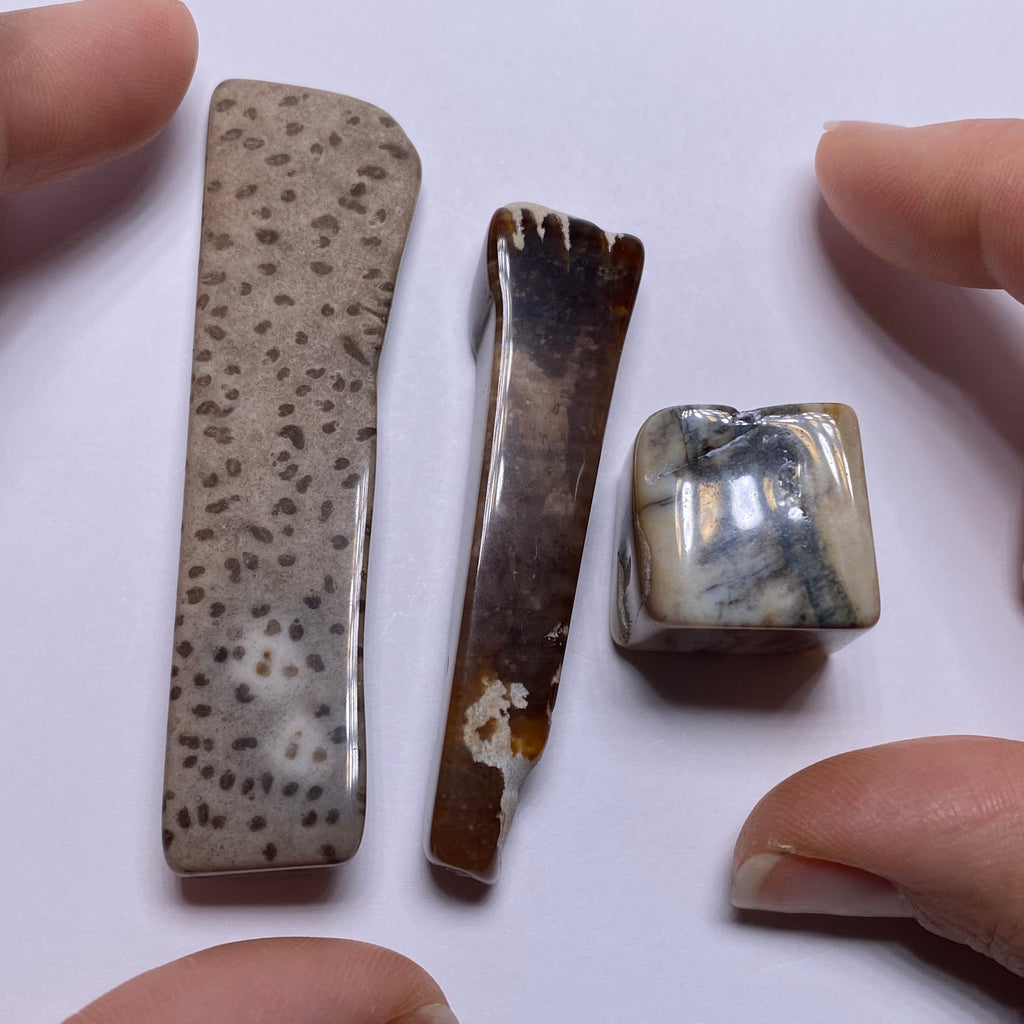 Petrified Wood – Bagan, Burma