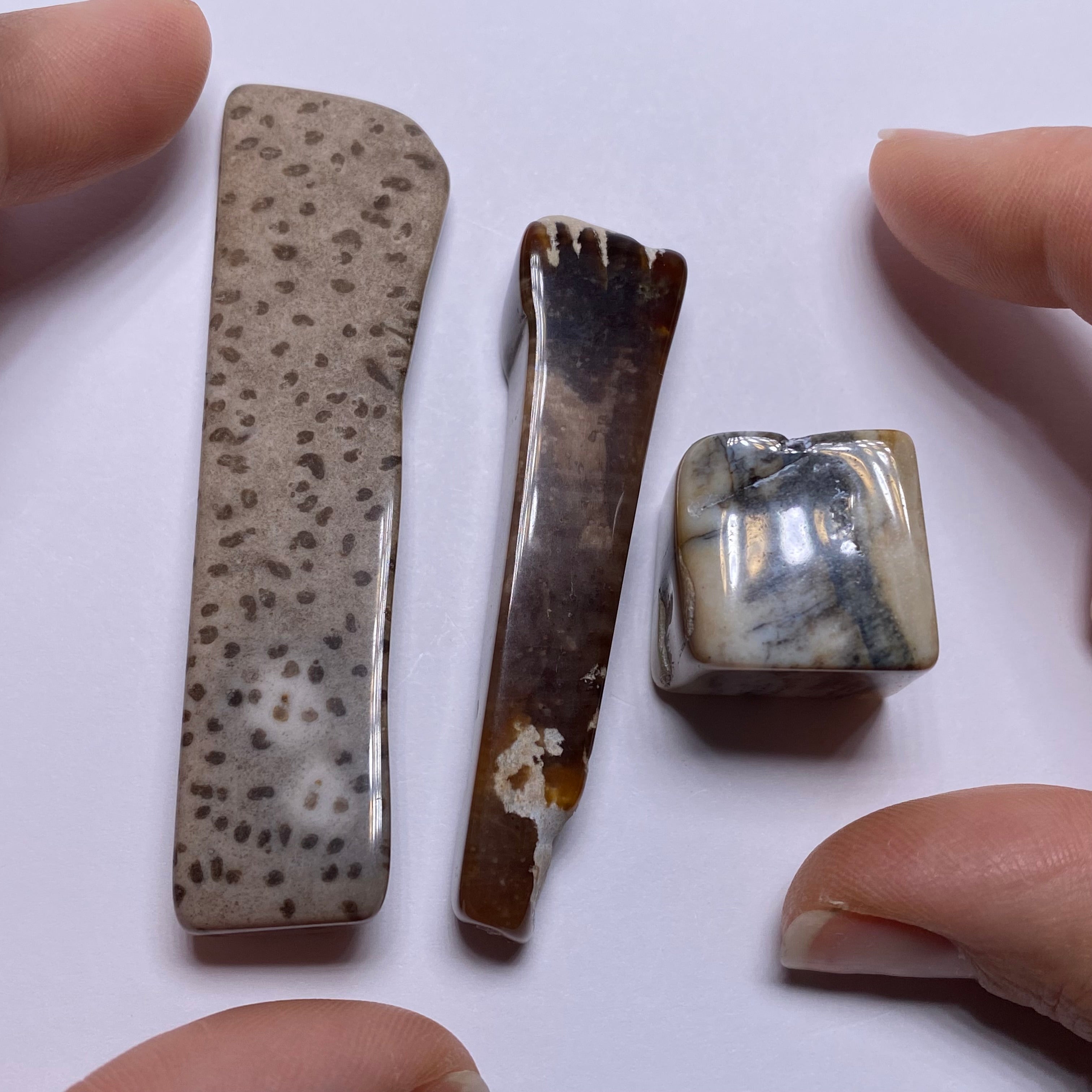 Petrified Wood – Bagan, Burma