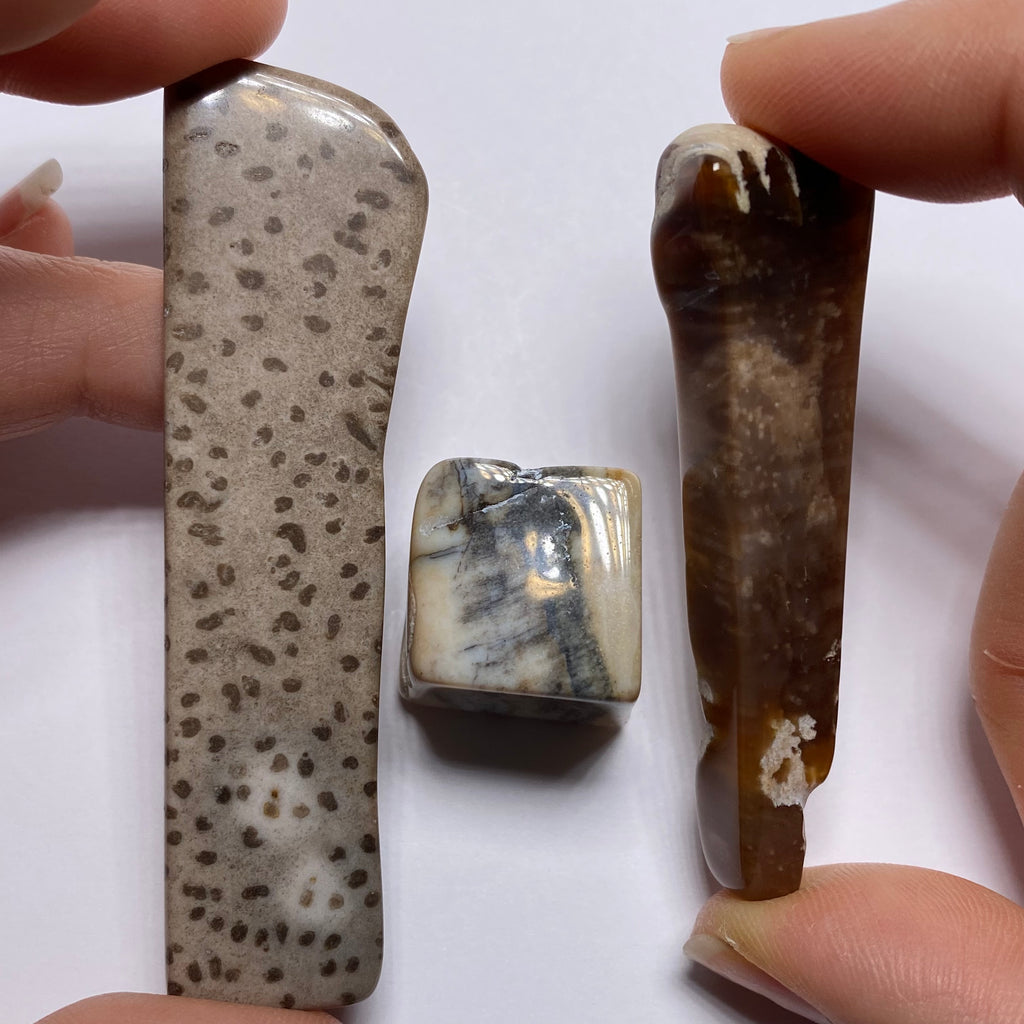 Petrified Wood – Bagan, Burma