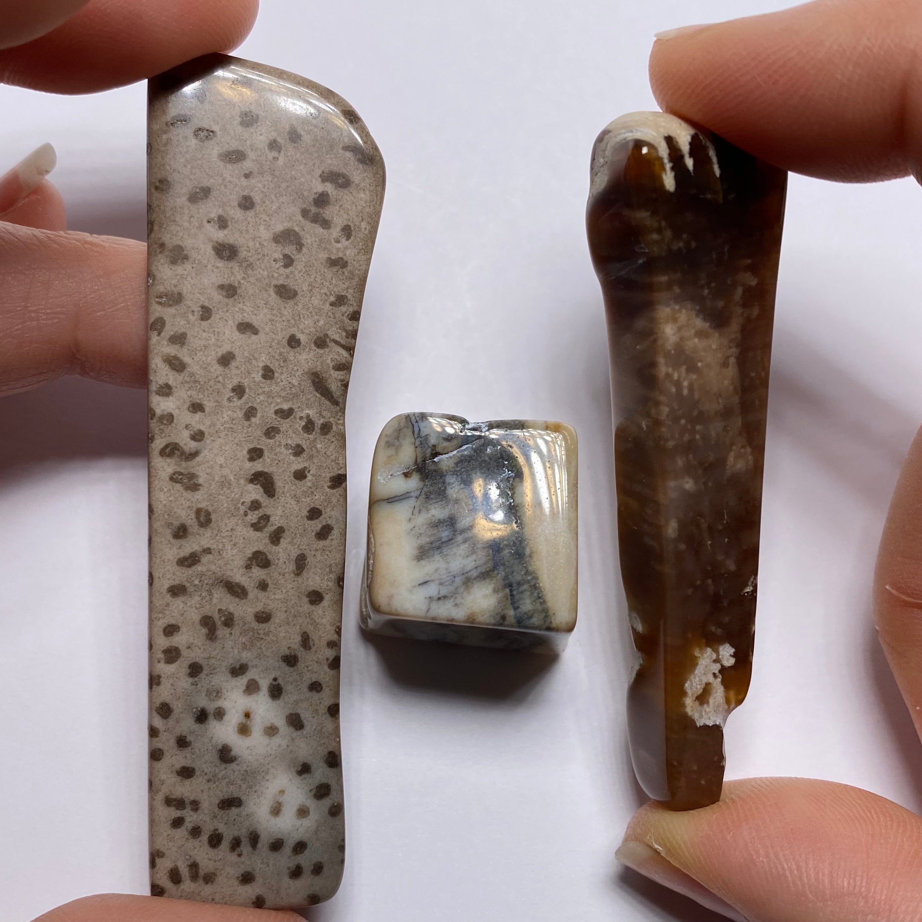 Petrified Wood – Bagan, Burma