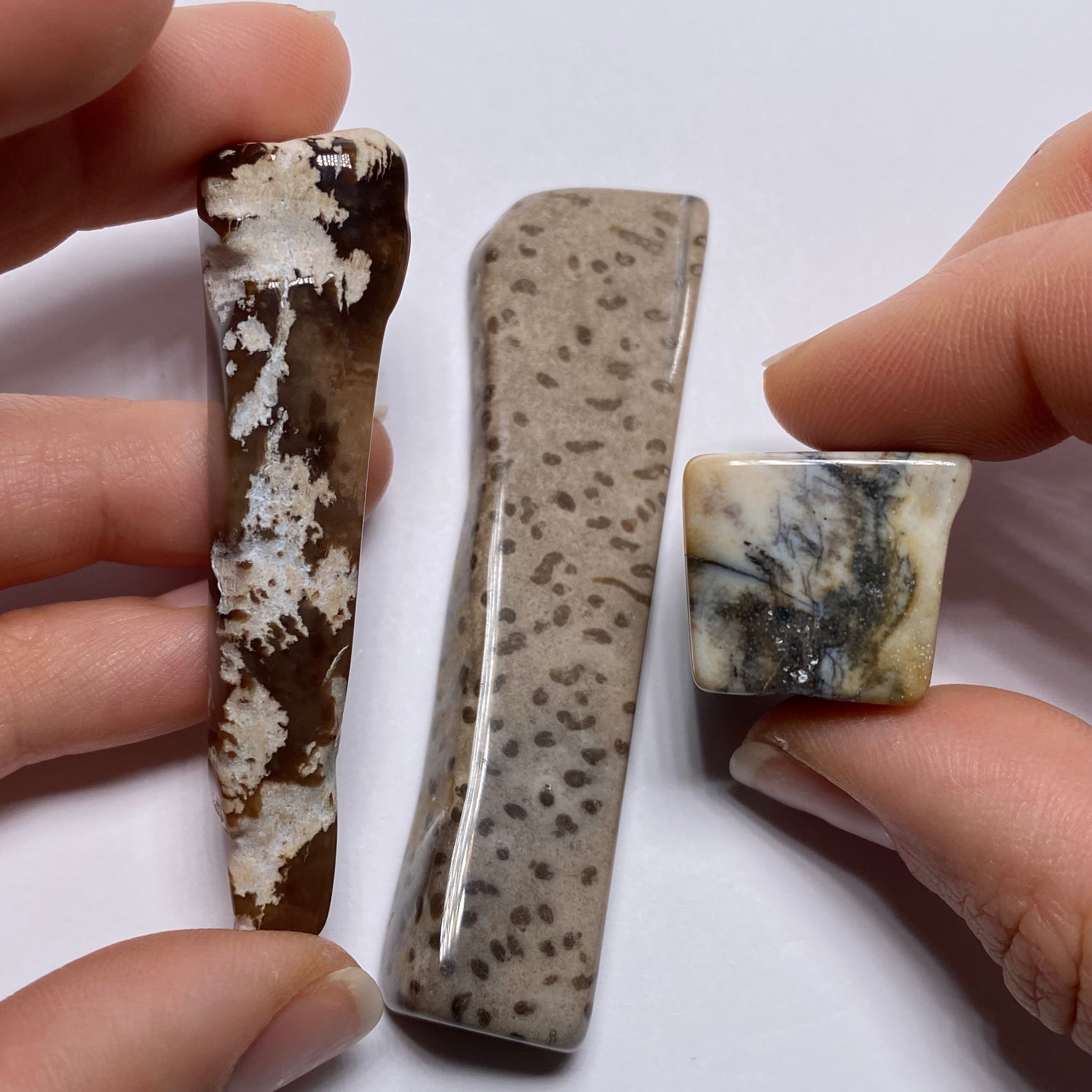 Petrified Wood – Bagan, Burma