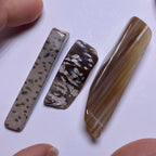 Petrified Wood – Bagan, Burma