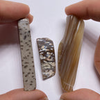 Petrified Wood – Bagan, Burma