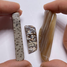 Load image into Gallery viewer, Petrified Wood – Bagan, Burma
