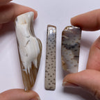 Petrified Wood – Bagan, Burma