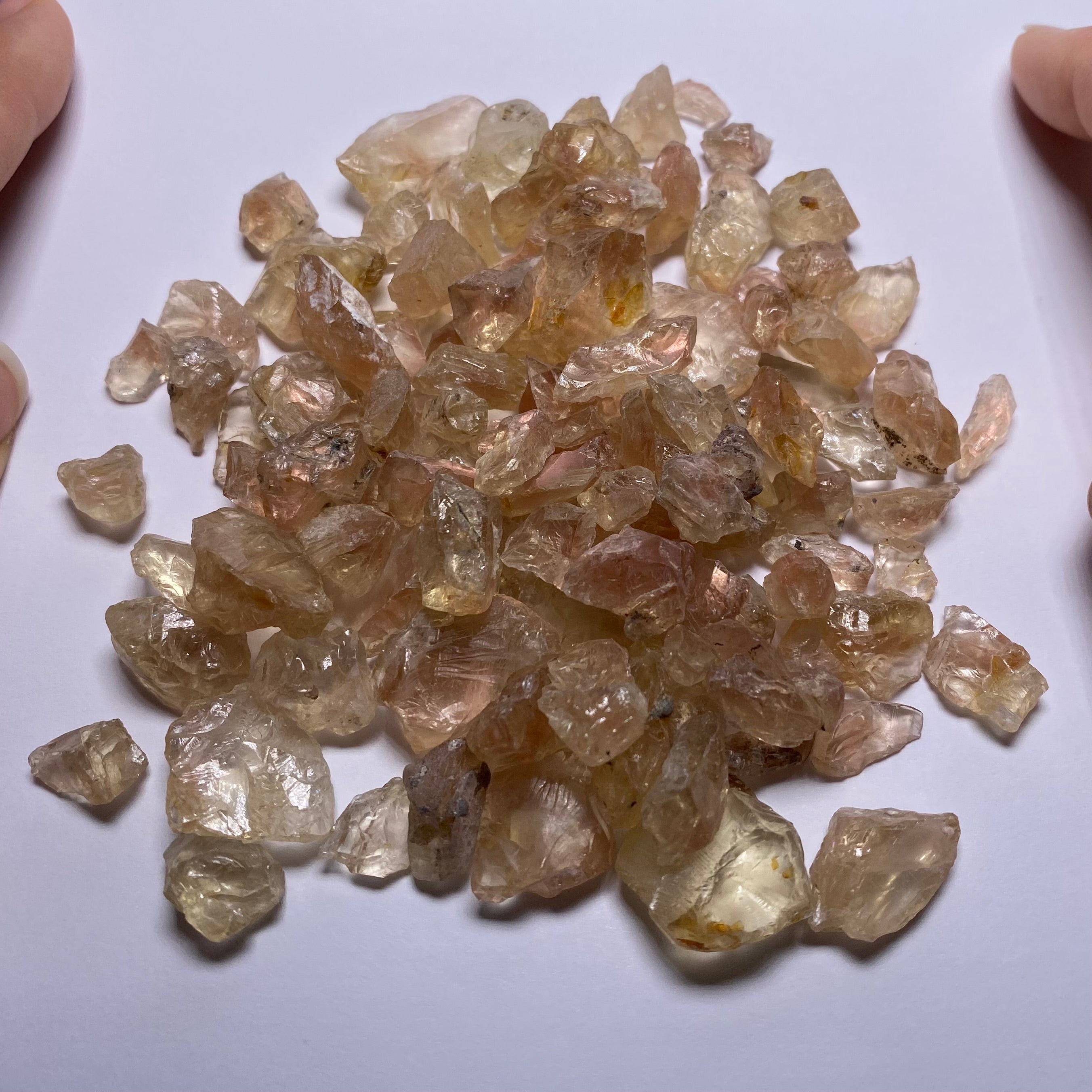 Shiller Sunstone - Oregon, USA (100+ grams)