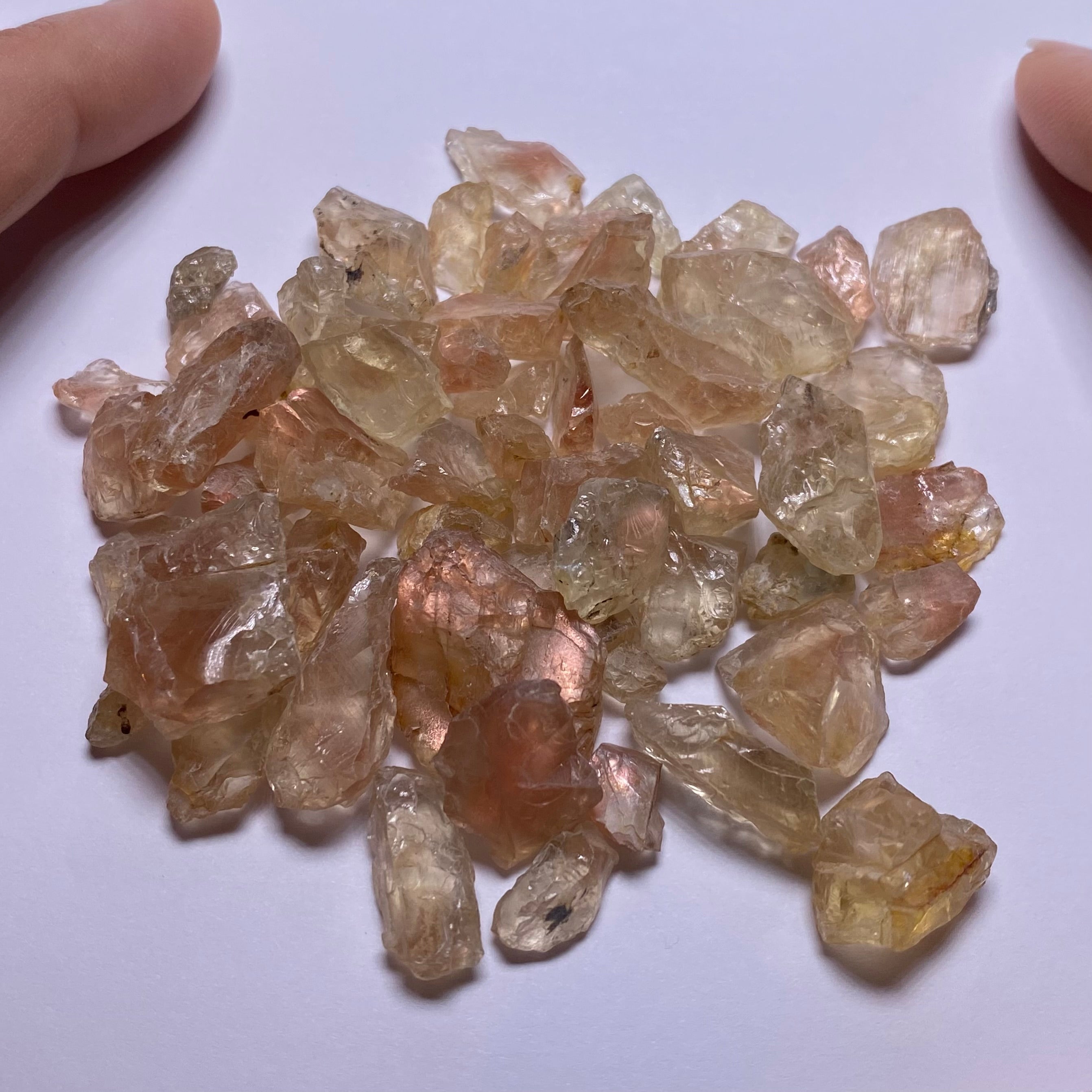 Shiller Sunstone - Oregon, USA (50+ grams)