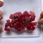 Rhodonite - Brazil