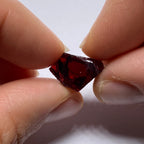 Chrome Pyrope - Mozambique