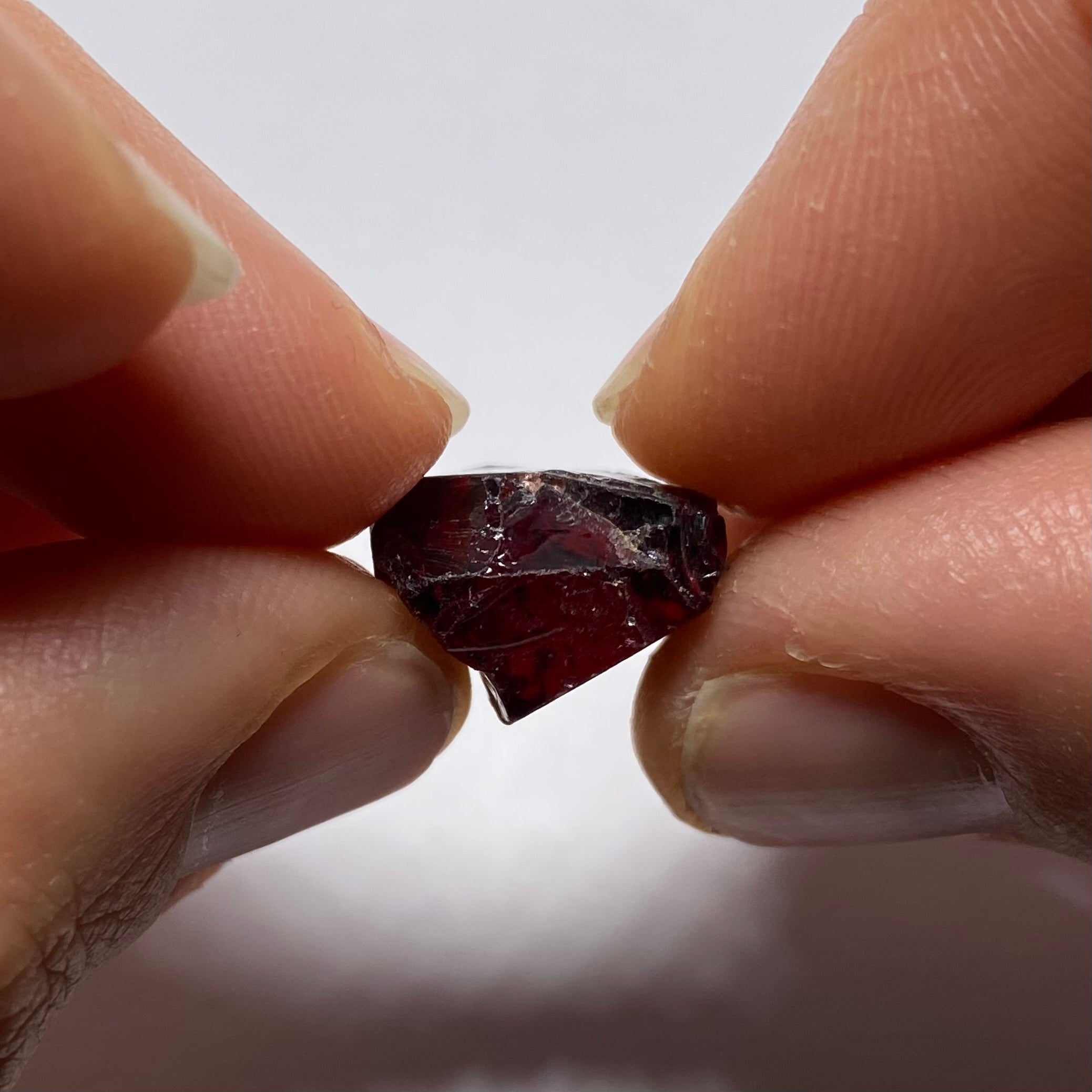 Chrome Pyrope - Mozambique