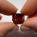 Chrome Pyrope - Mozambique