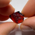 Chrome Pyrope - Mozambique