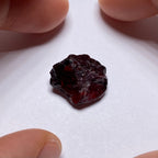 Chrome Pyrope - Mozambique