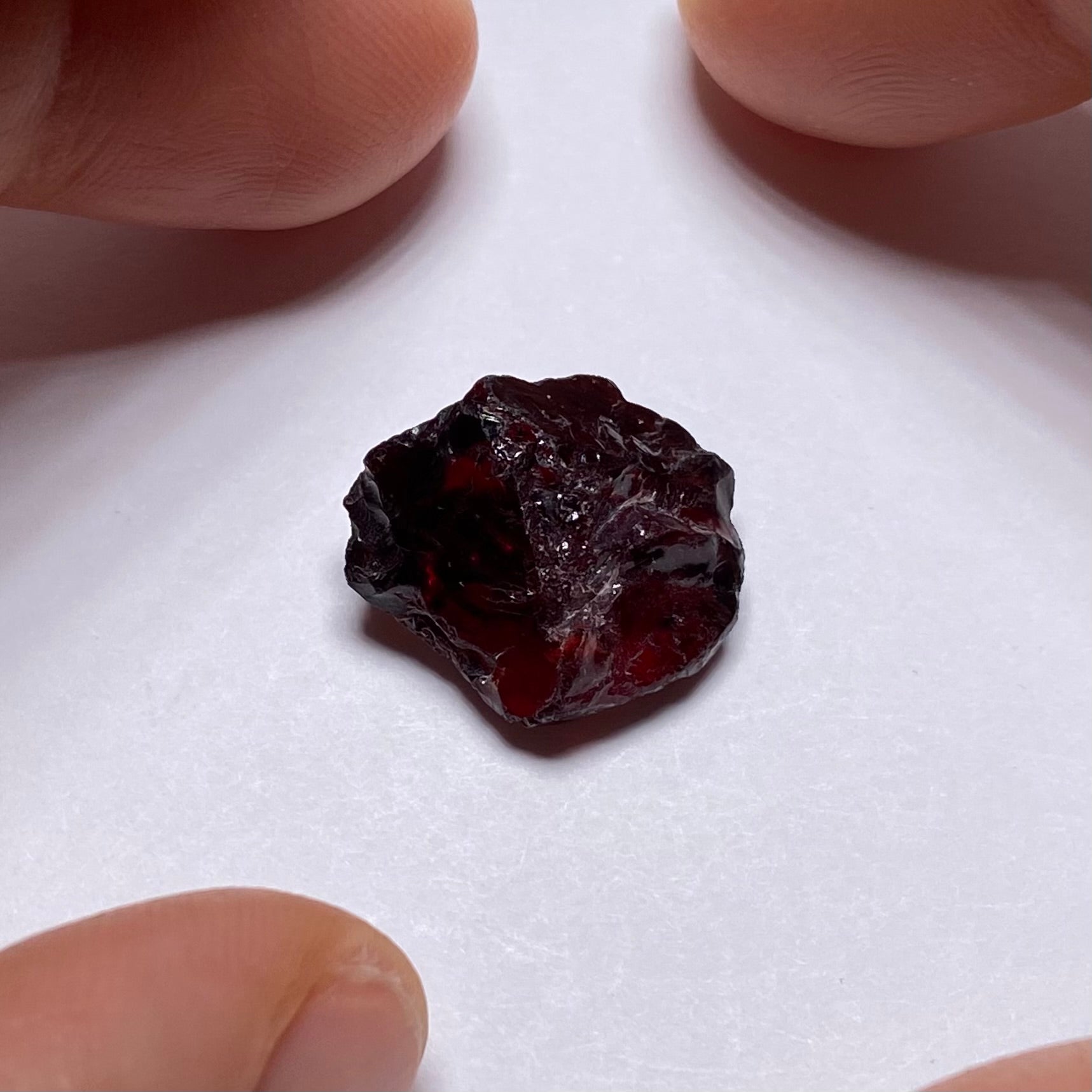 Chrome Pyrope - Mozambique