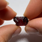 Chrome Pyrope - Mozambique