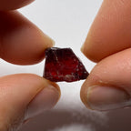 Chrome Pyrope - Mozambique