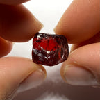 Chrome Pyrope - Mozambique