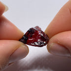 Chrome Pyrope - Mozambique