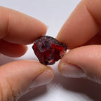 Chrome Pyrope - Mozambique