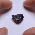 Chrome Pyrope - Mozambique