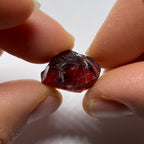 Chrome Pyrope - Mozambique