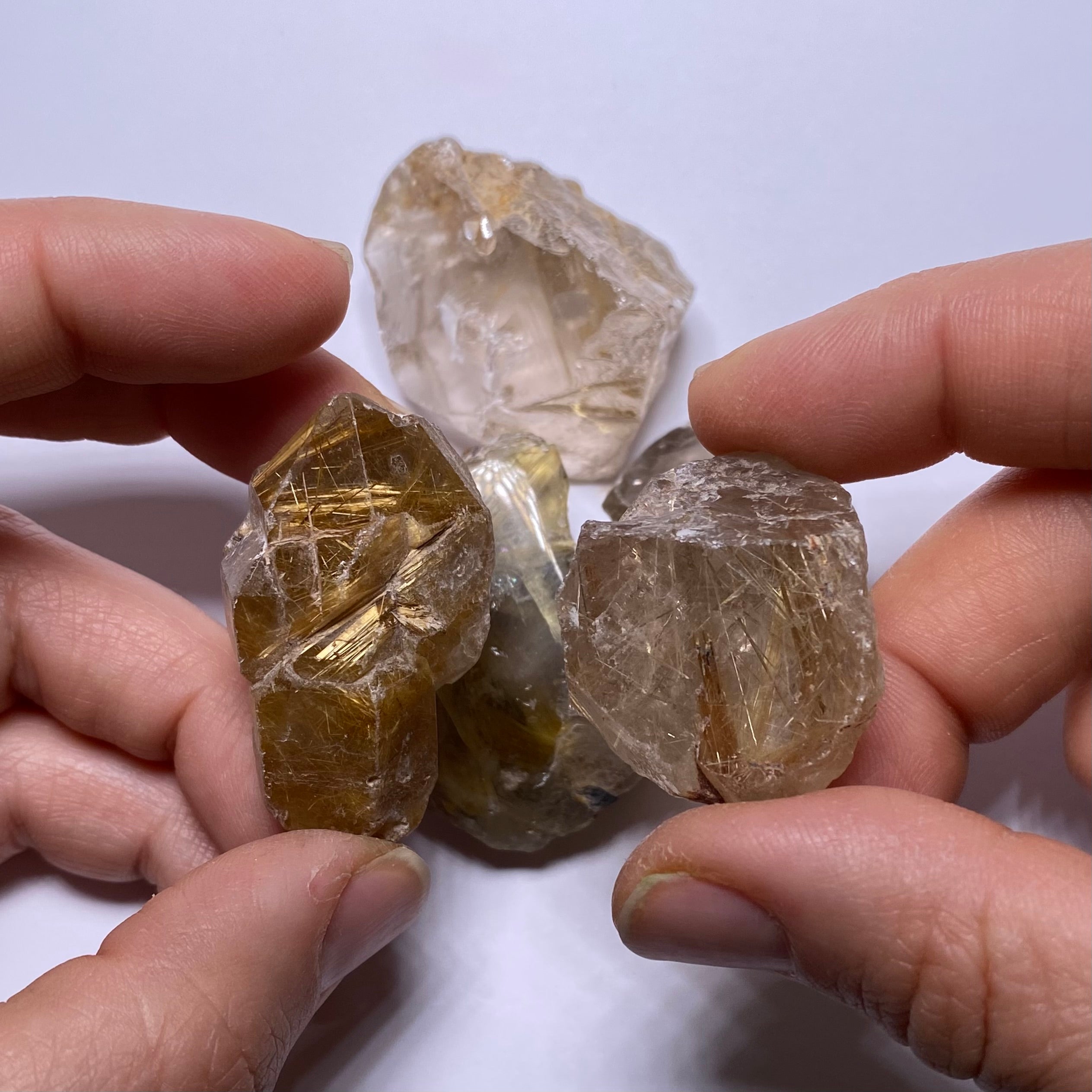 Golden Rutile in Quartz - Brazil