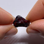 Chrome Pyrope - Mozambique