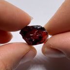 Chrome Pyrope - Mozambique