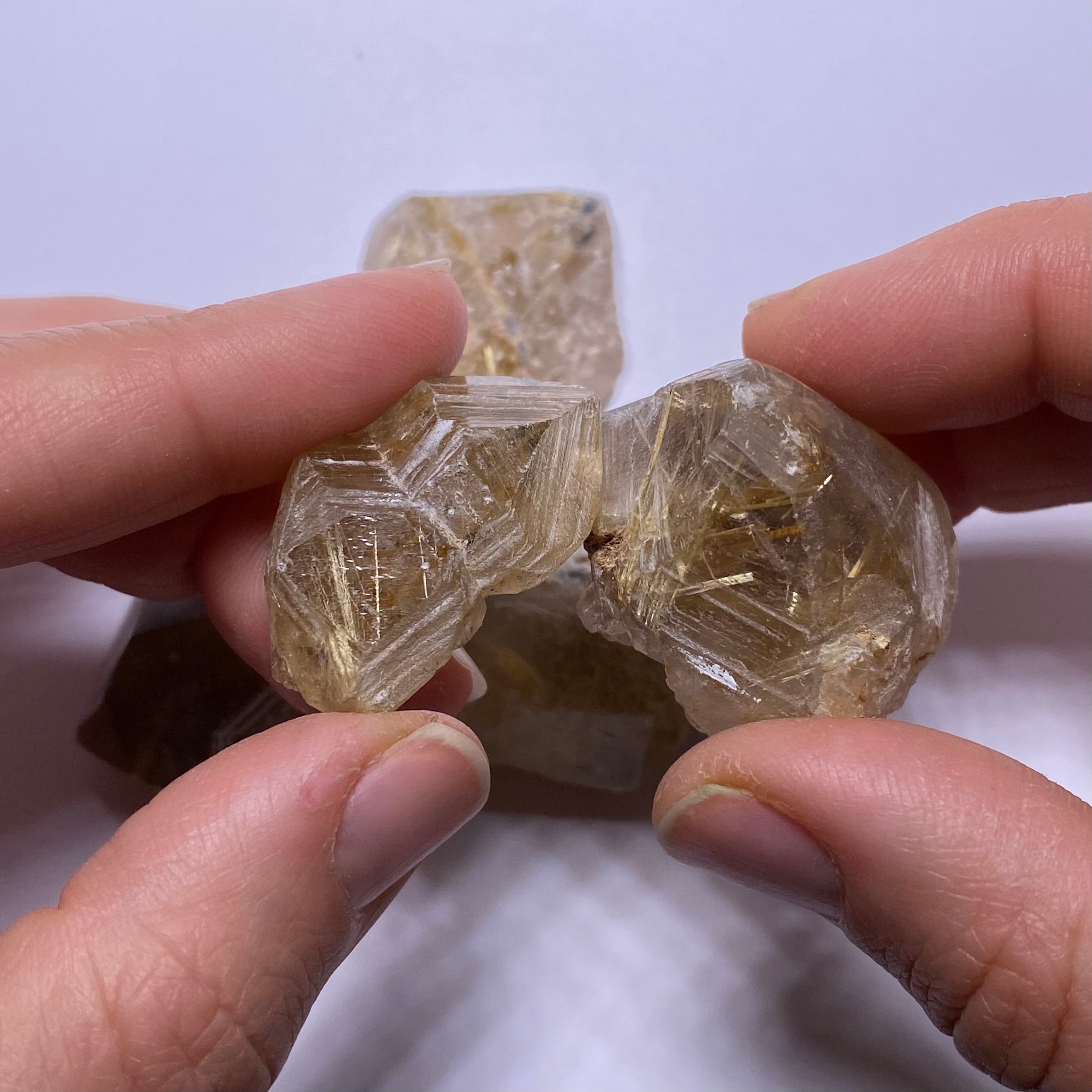 Golden Rutile in Quartz - Brazil