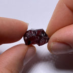 Chrome Pyrope - Mozambique