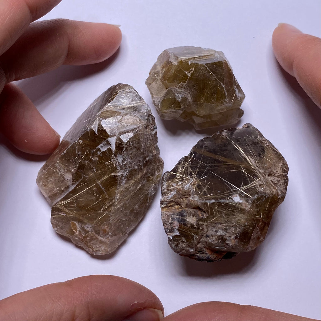 Golden Rutile in Quartz - Brazil