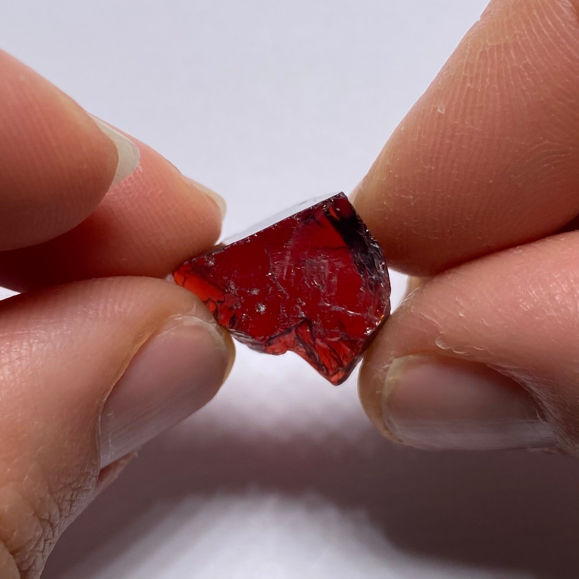 Chrome Pyrope - Mozambique