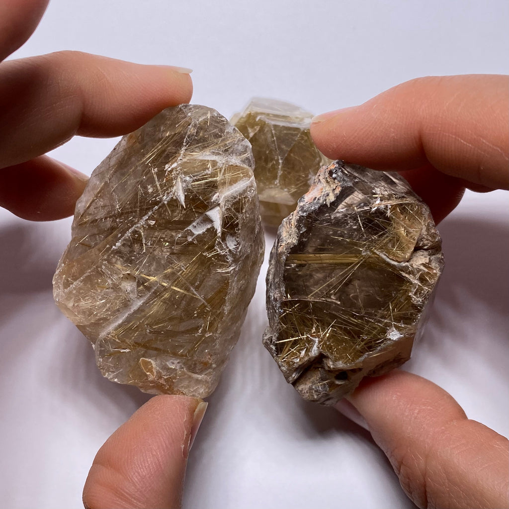 Golden Rutile in Quartz - Brazil