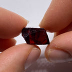 Chrome Pyrope - Mozambique