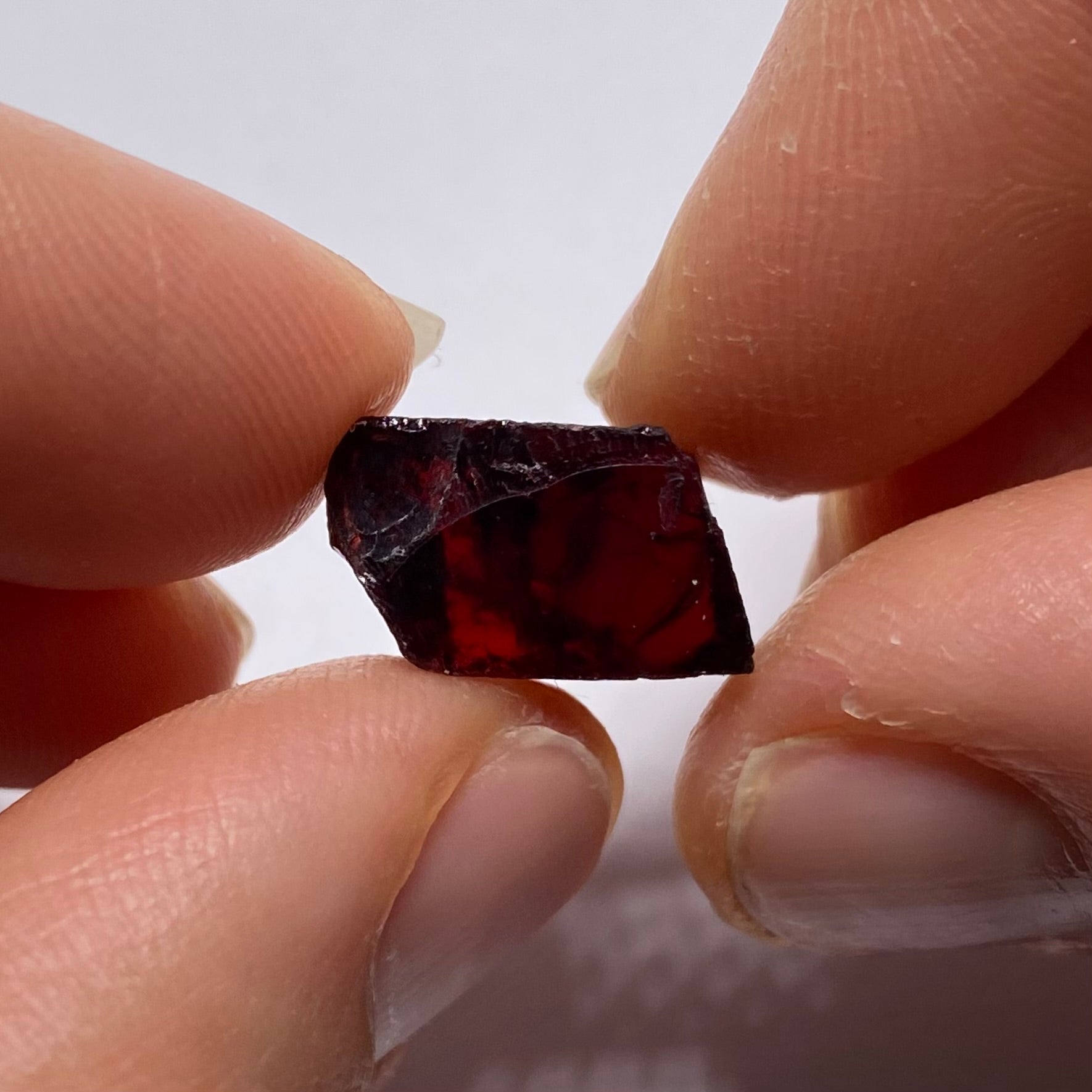 Chrome Pyrope - Mozambique