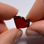 Chrome Pyrope - Mozambique