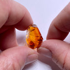 Santa Ana Madeira Citrine - Brazil