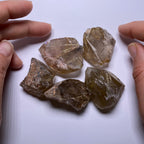 Golden Rutile in Quartz - Brazil