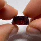 Chrome Pyrope - Mozambique