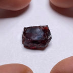 Chrome Pyrope - Mozambique