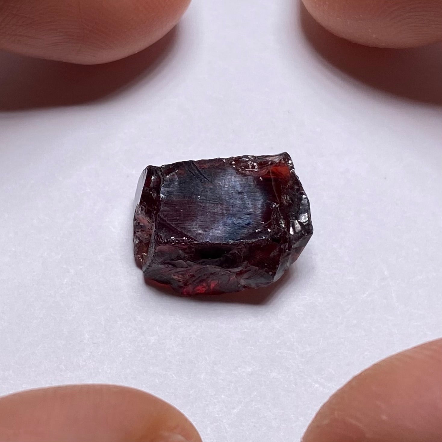 Chrome Pyrope - Mozambique